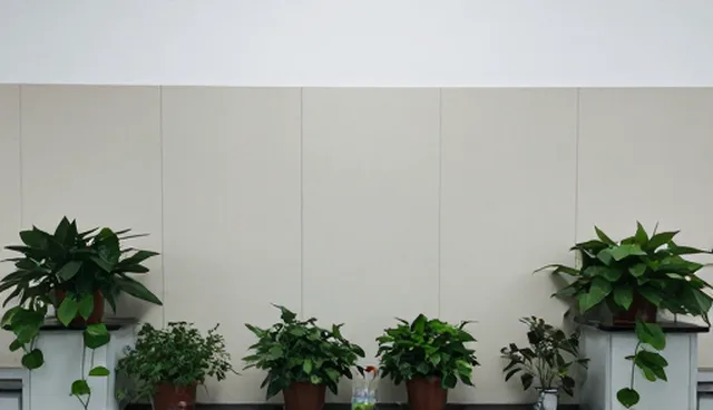 如何选择适合的包车服务?